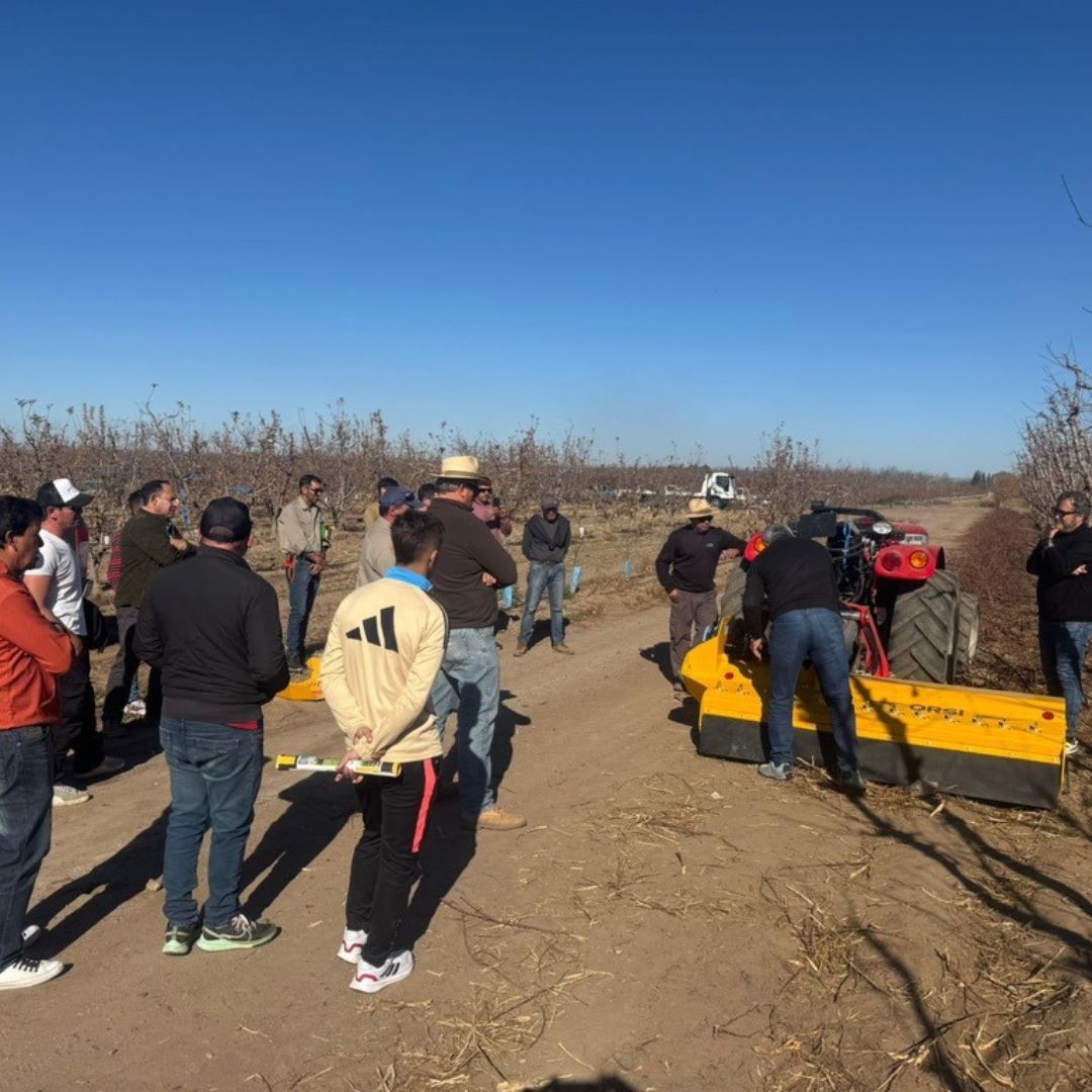 Grupo observando demostración